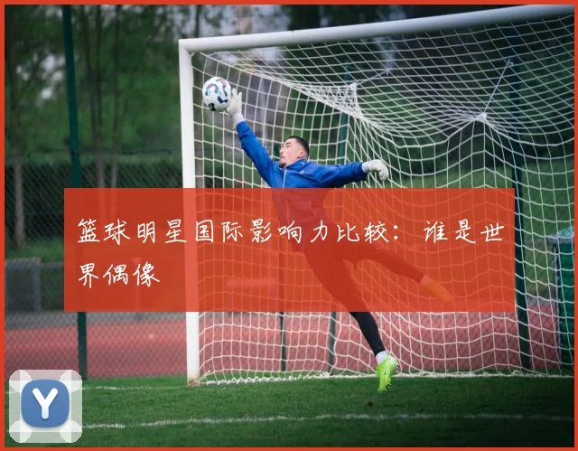篮球明星国际影响力比较：谁是世界偶像